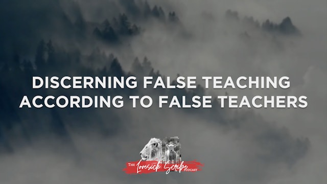 Discerning False Teaching According to False Teachers - The Lovesick Scribe