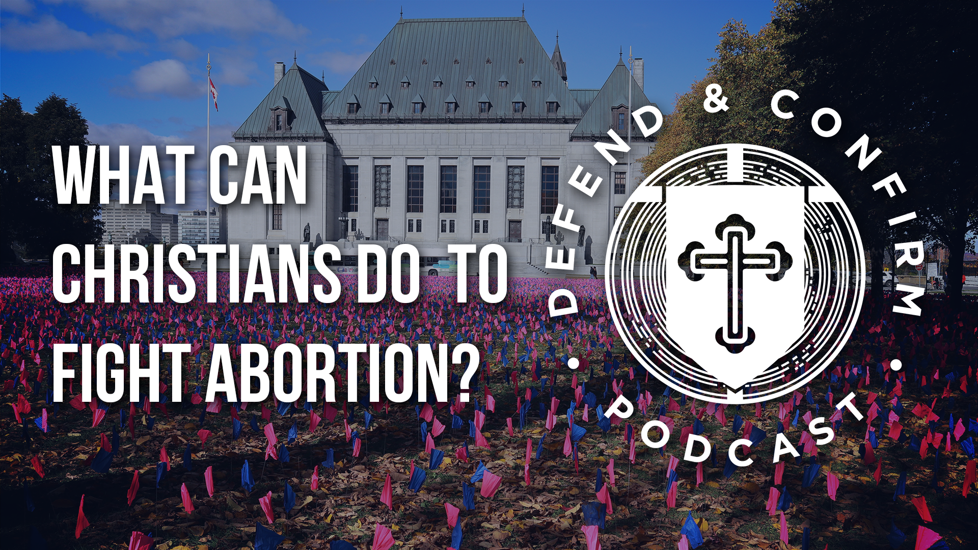What Can Christians do to Fight Abortion - Defend and Confirm Podcast