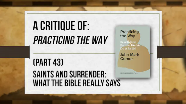 A Critique of Practicing the Way (Par...