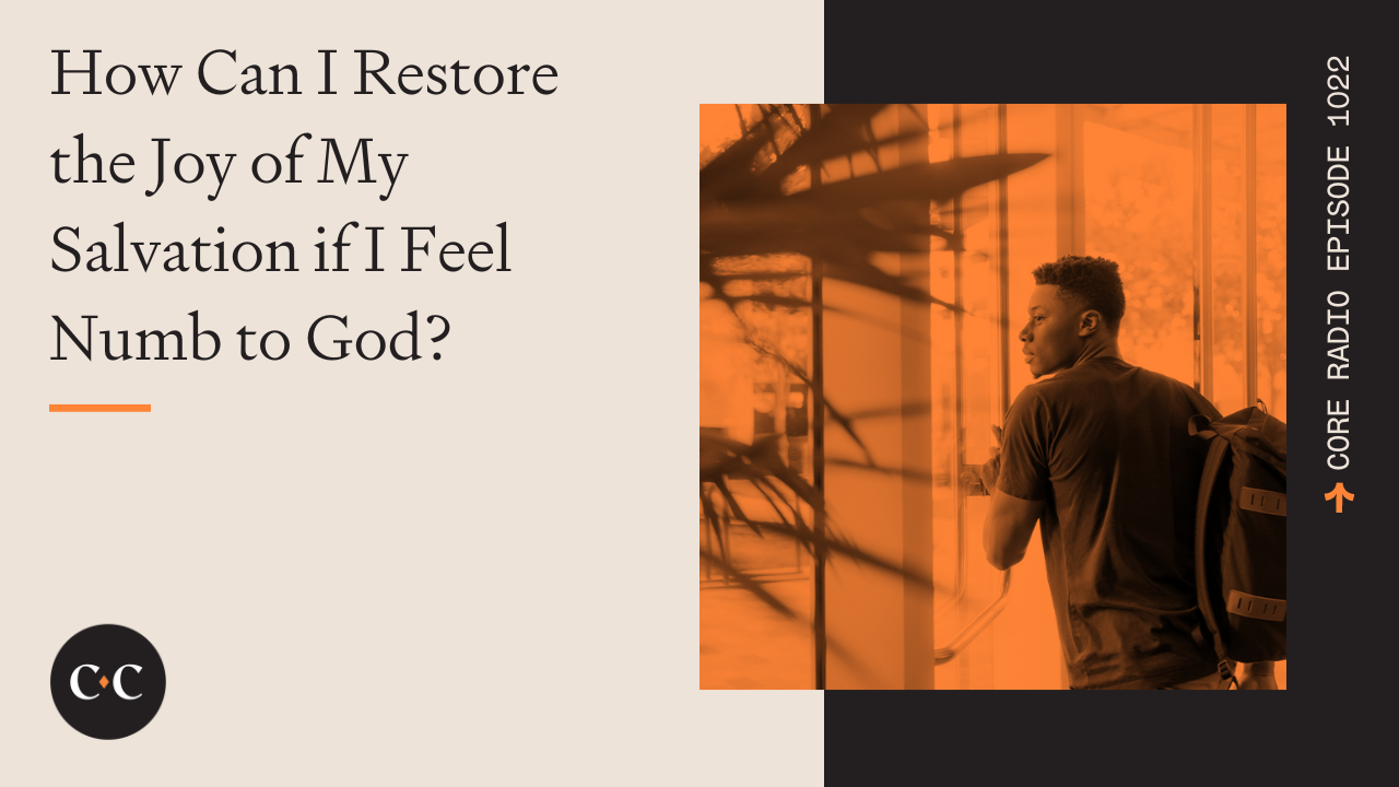 How Can I Restore the Joy of My Salvation if I Feel Numb to God? 