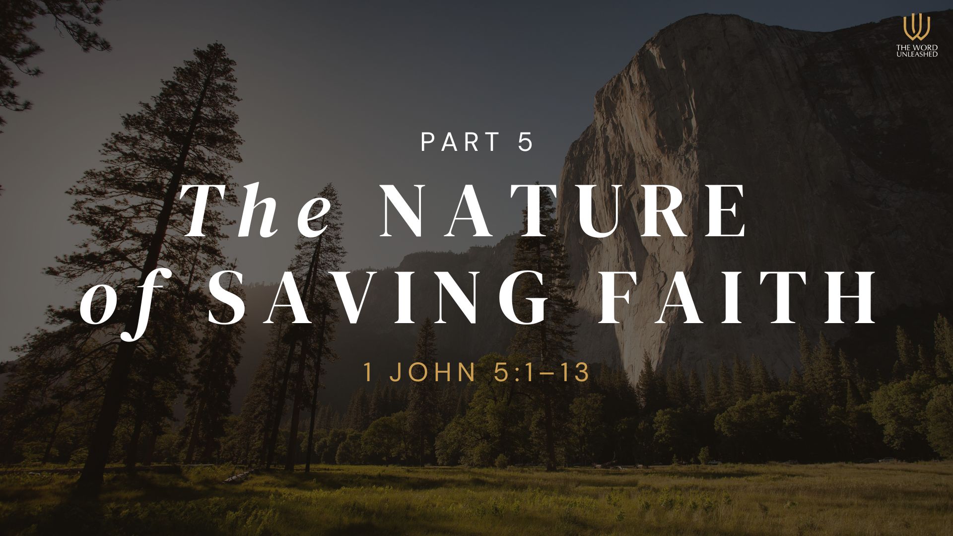 The Nature of Saving Faith (Part 5) - The Word Unleashed