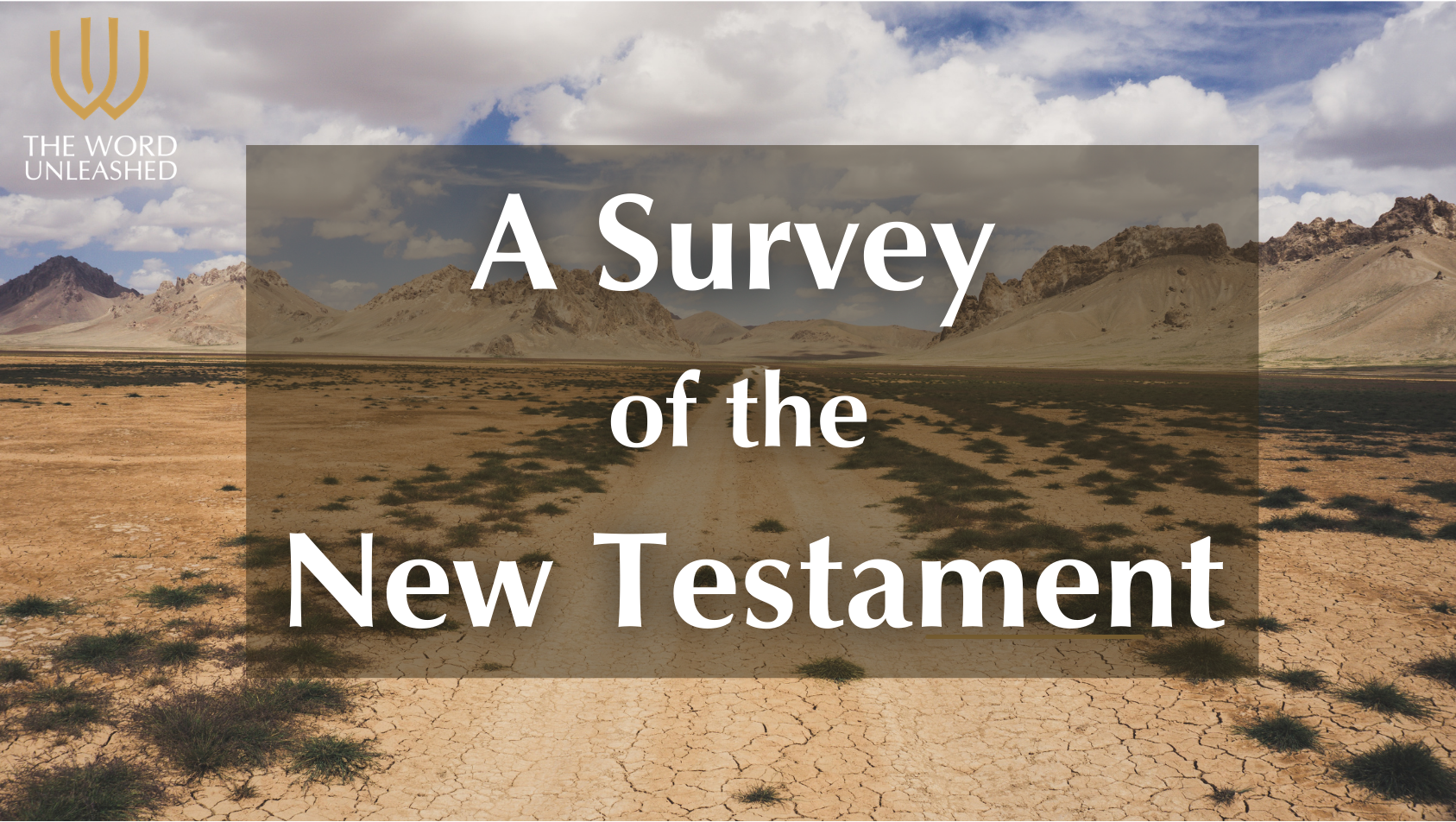 A Survey of the New Testament