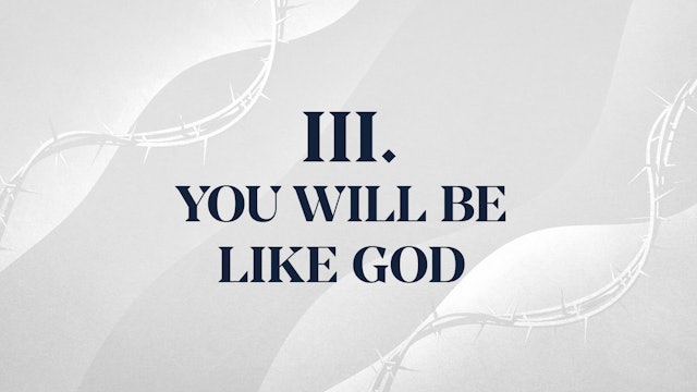 You Will Be Like God - Chapter 3: Christ Alone