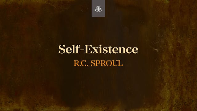 Self-Existence - E.20 - Defending You...