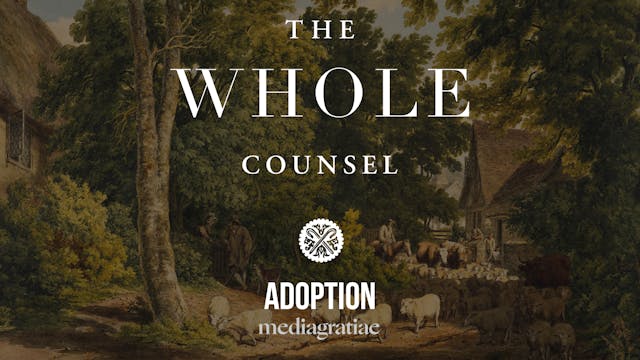 Adoption - The Whole Counsel