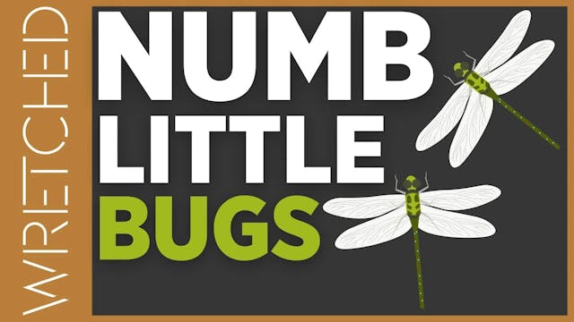 Numb Little Bugs? - E.5 - Wretched TV