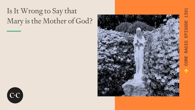 Is It Wrong to Say that Mary is the M...