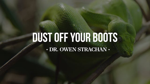 Dust Off Your Boots - Dr. Owen Strachan