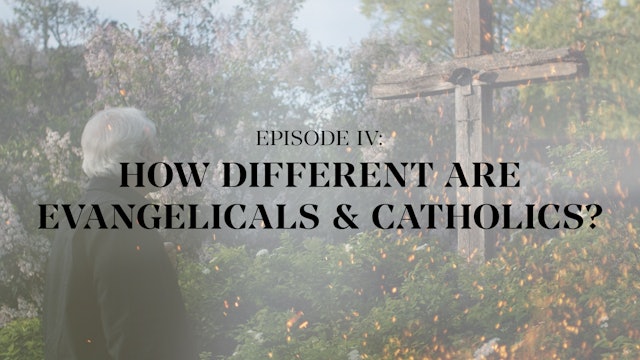 How Different Are Evangelicals and Catholics? - E.4 - Roman Catholicism 