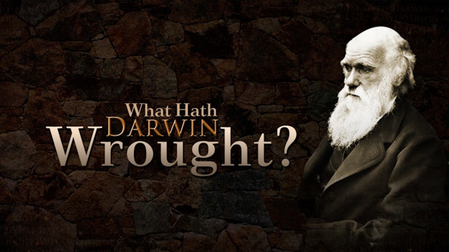 What Hath Darwin Wrought? - Todd Friel