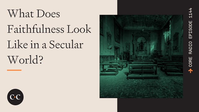 What Does Faithfulness Look Like in a...