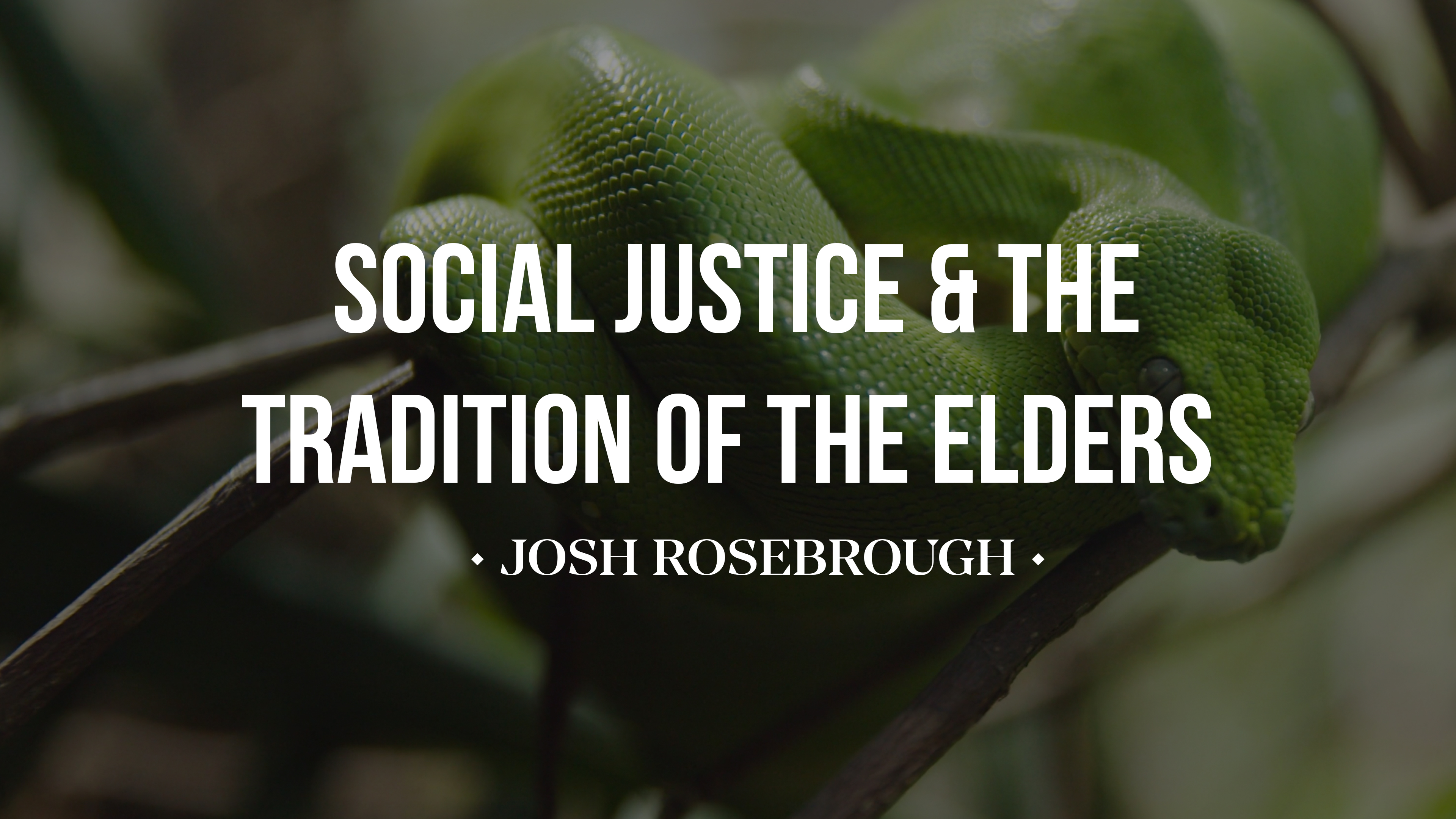 Social Justice and the Tradition of the Elders - Joshua Rosebrough