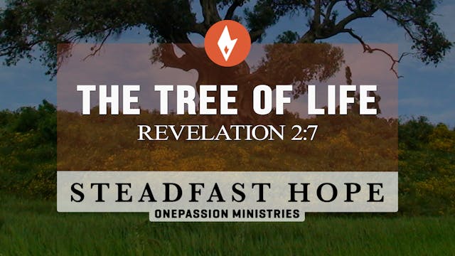 The Tree of Life - Steadfast Hope - D...