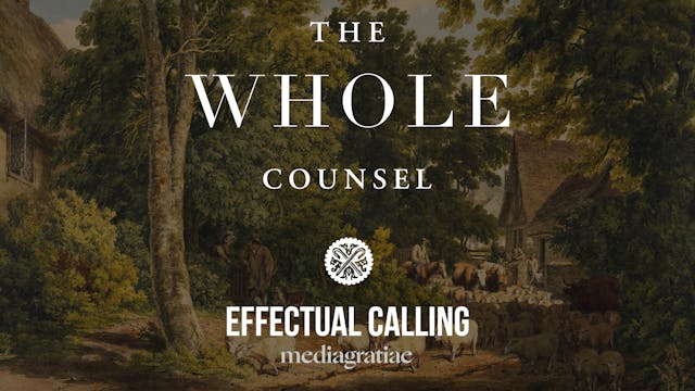 Effectual Calling (Ebenezer Pemberton...