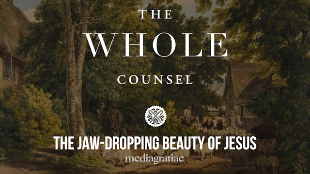 The Jaw-Dropping Beauty of Jesus - The Whole Counsel
