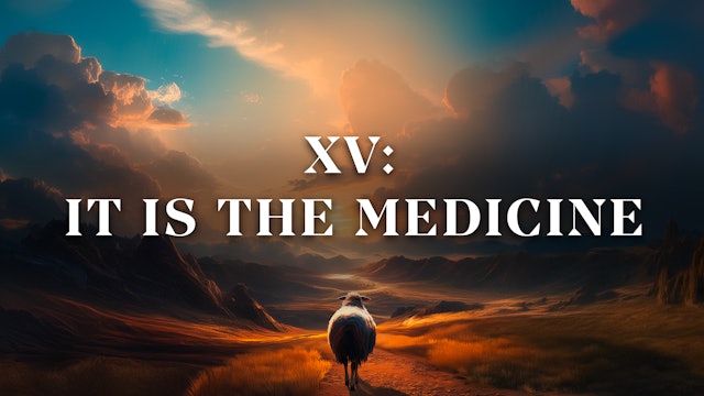 It is the Medicine - E.15 - Cancer Is Not Your Shepherd