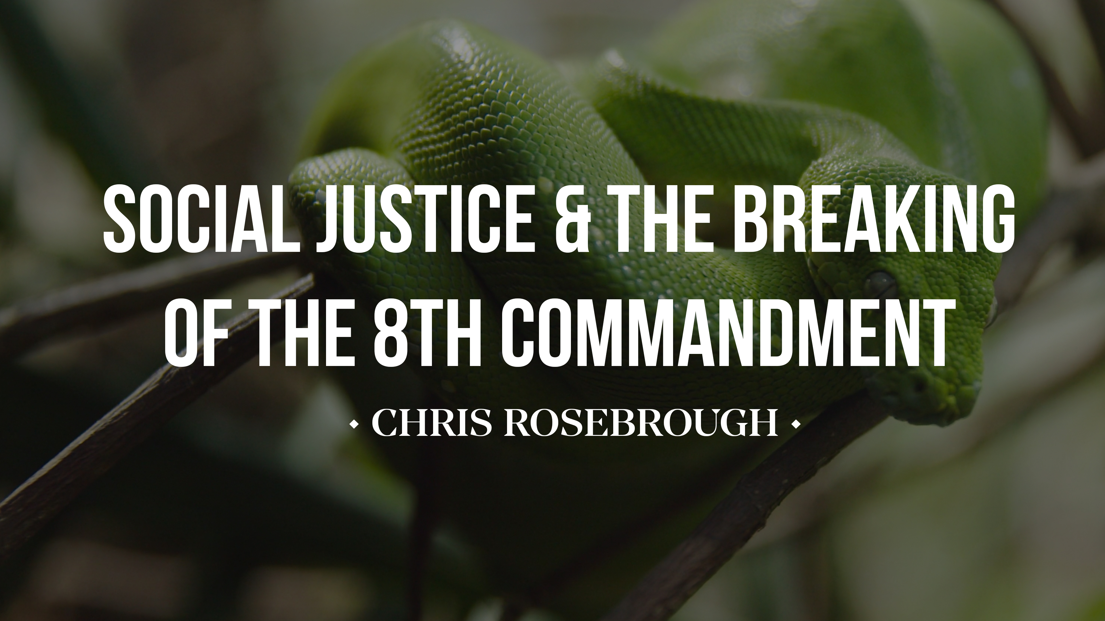 Social Justice and the Breaking of the 8th Commandment - Chris Rosebrough