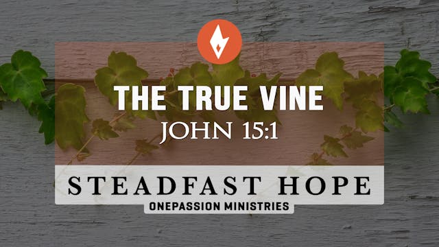 The True Vine - Steadfast Hope - Dr. ...