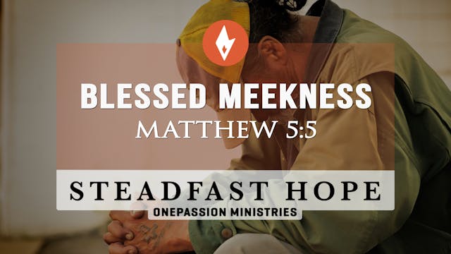Blessed Meekness - Steadfast Hope - D...