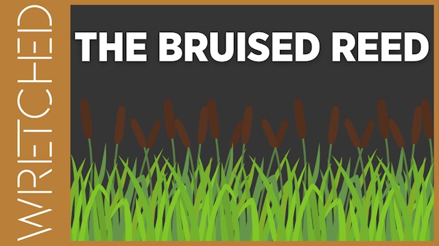 The Bruised Reed - E.9 - Wretched TV