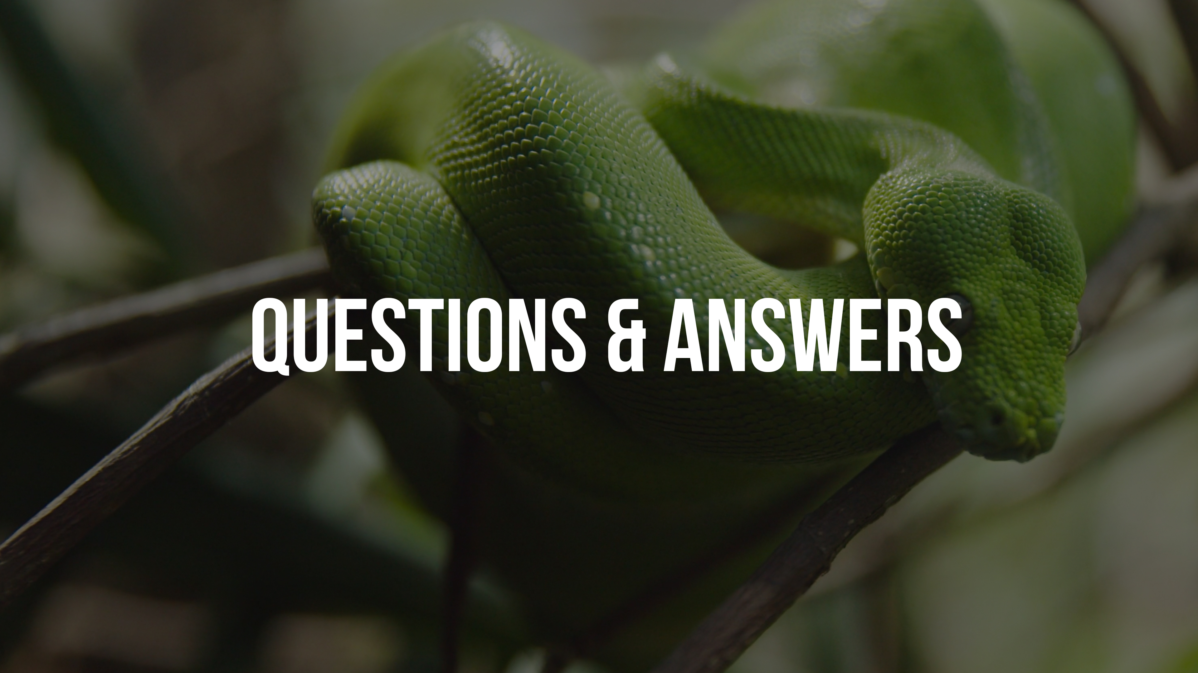 Did God Really Say Conference - Q&A