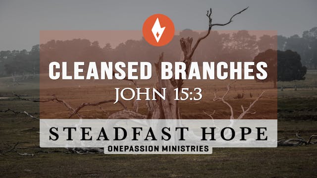 Cleansed Branches - Steadfast Hope - ...
