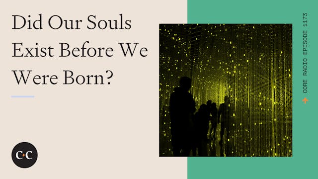 Did Our Souls Exist Before We Were Bo...