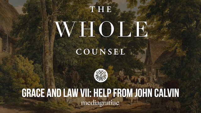 Grace and Law VII: Help from John Calvin - The Whole Counsel