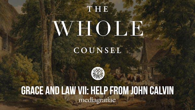 Grace and Law VII: Help from John Cal...