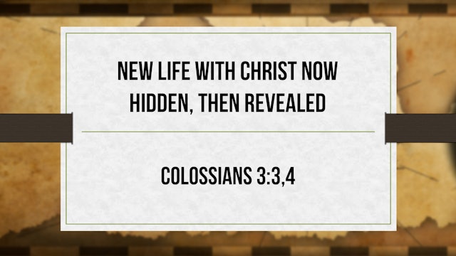 New Life With Christ Now Hidden, Then Revealed  - Critical Issues Commentary