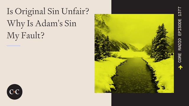 Is Original Sin Unfair? Why Is Adam's...