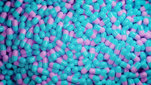 LWTN L9_Fortis+_v3_RP