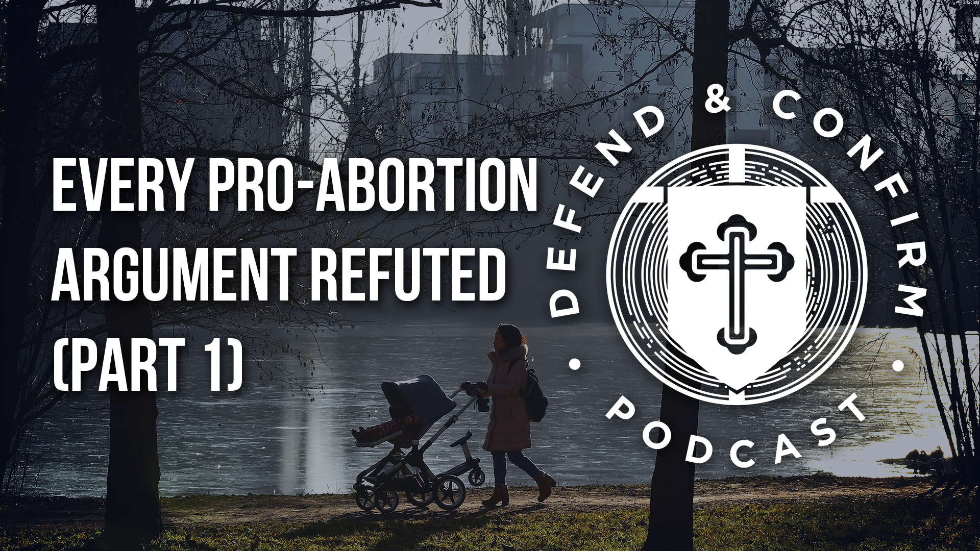 Every Pro-Abortion Argument Refuted (Part 1) - Defend and Confirm Podcast