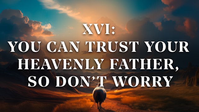 You Can Trust Your Heavenly Father, So Don’t Worry - E.16 - Your Shepherd