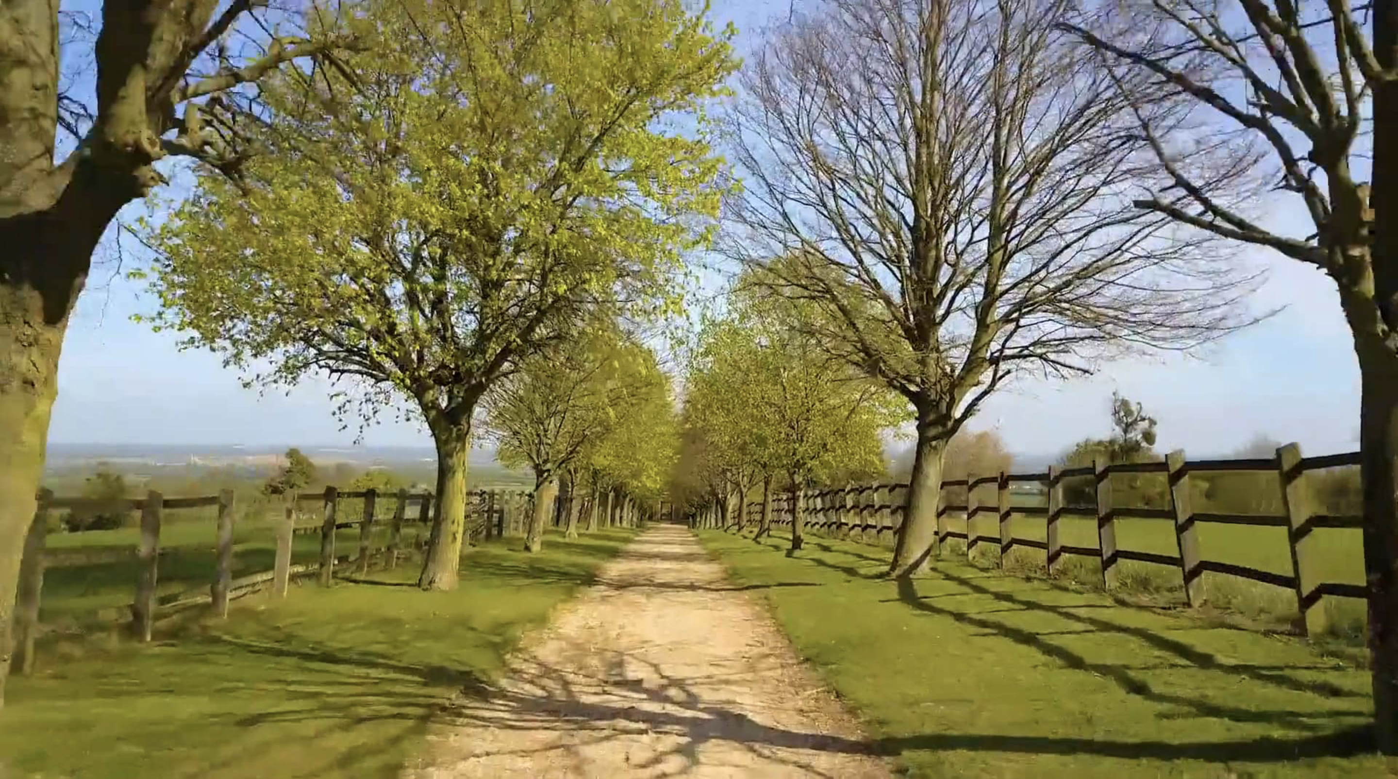 Week 11 – Knowing the God of Love