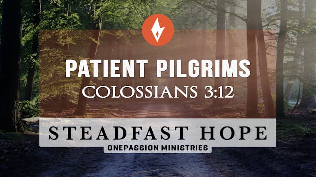 Patient Pilgrims - Steadfast Hope - D...