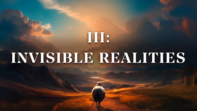 Invisible Realities - E.3 - Cancer Is...