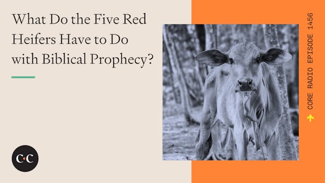 What Do the Five Red Heifers Have to ...