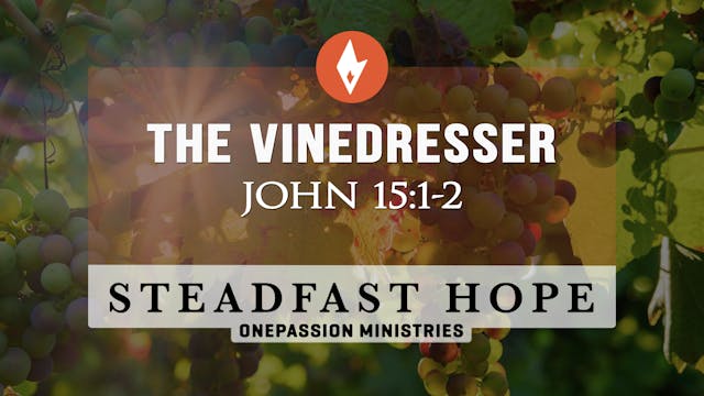 The Vinedresser - Steadfast Hope - 3/...