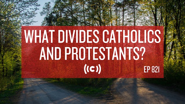 What Divides Catholics and Protestant...