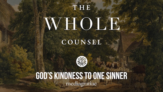 God's Kindness to One Sinner - The Whole Counsel