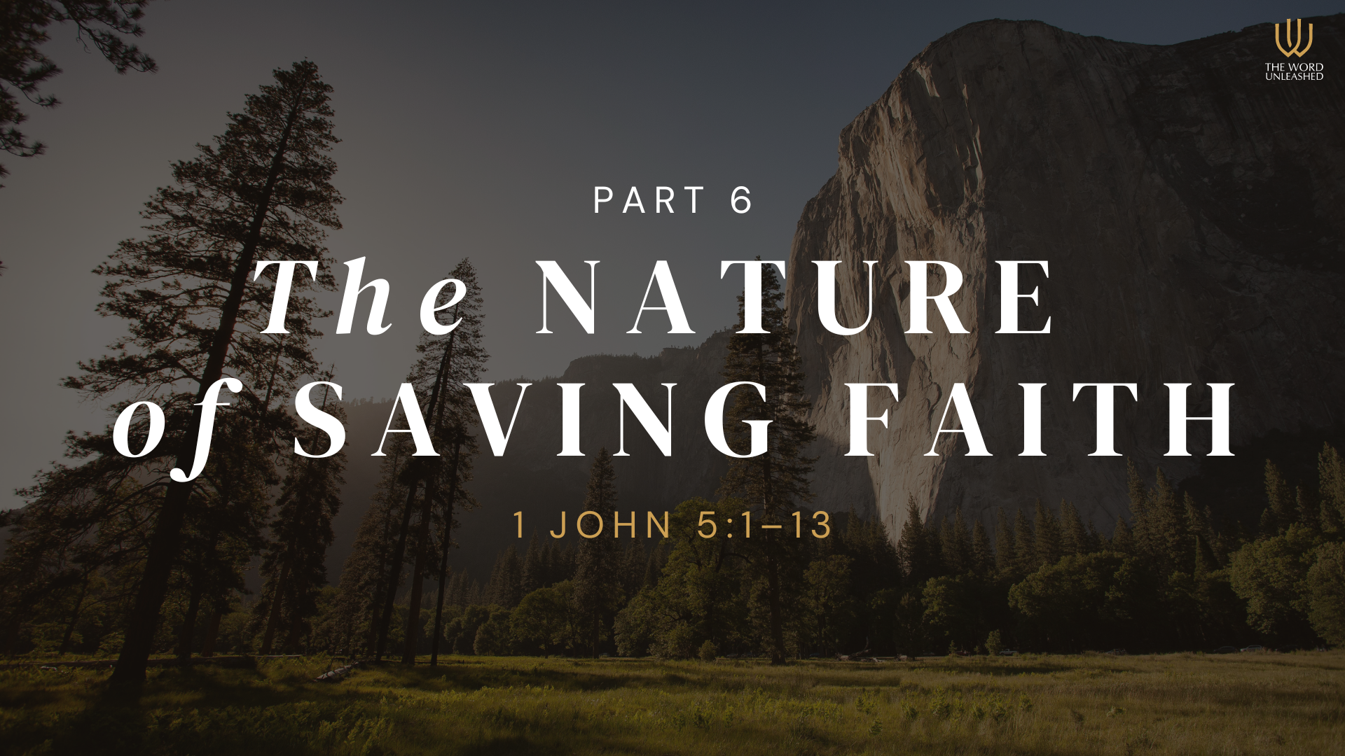The Nature of Saving Faith (Part 6) - The Word Unleashed