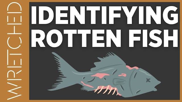 Identifying Rotten Fish - E.6 - Wretc...