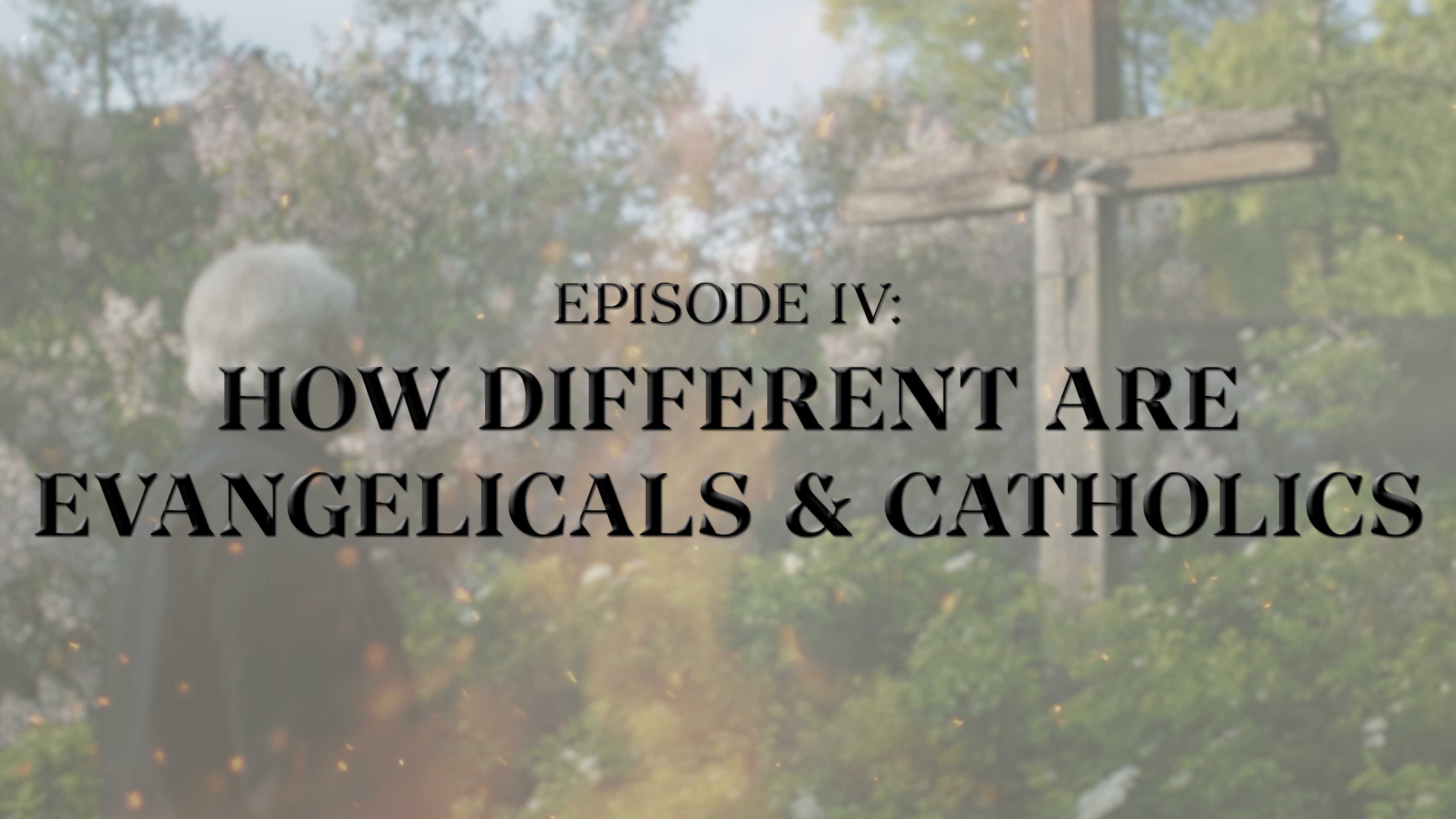 How Different Are Evangelicals and Catholics? - E.4 - Roman Catholicism 