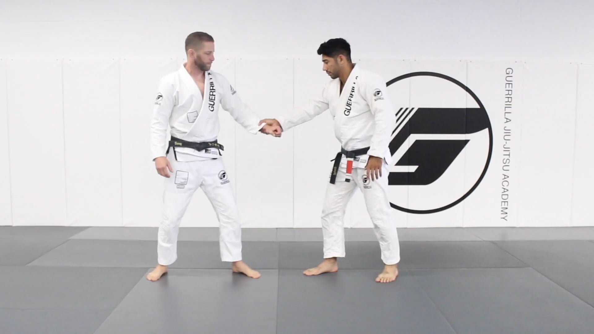 20 Class Online Beginner's Program - Class 1