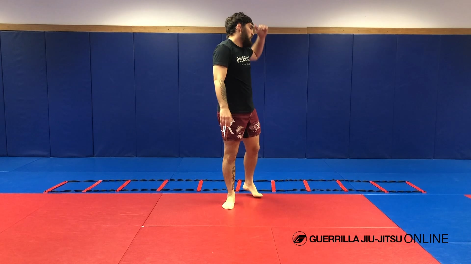 Footwork Ladder Drills for Striking