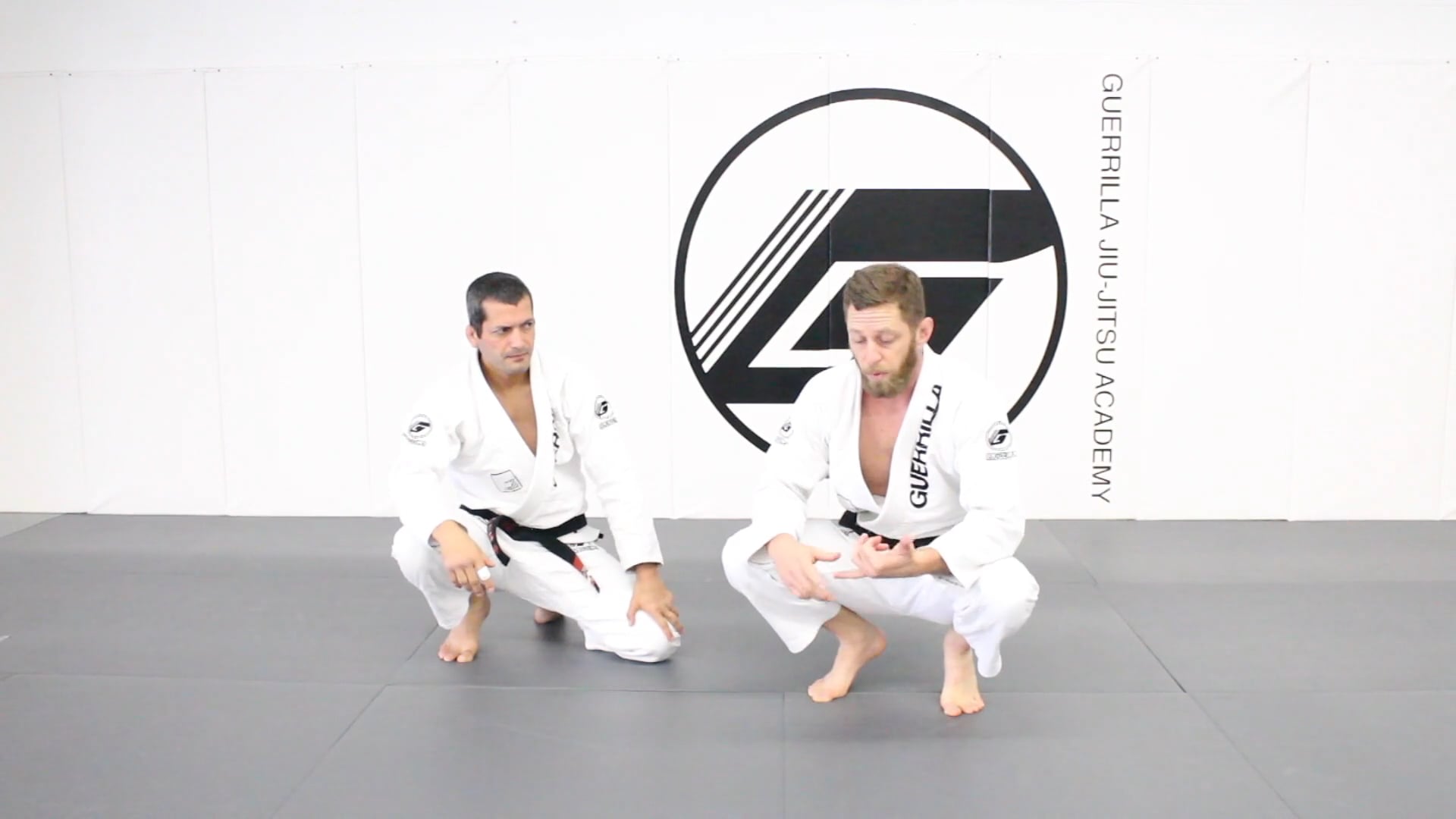 20 Class Online Beginner's Program - Class 15