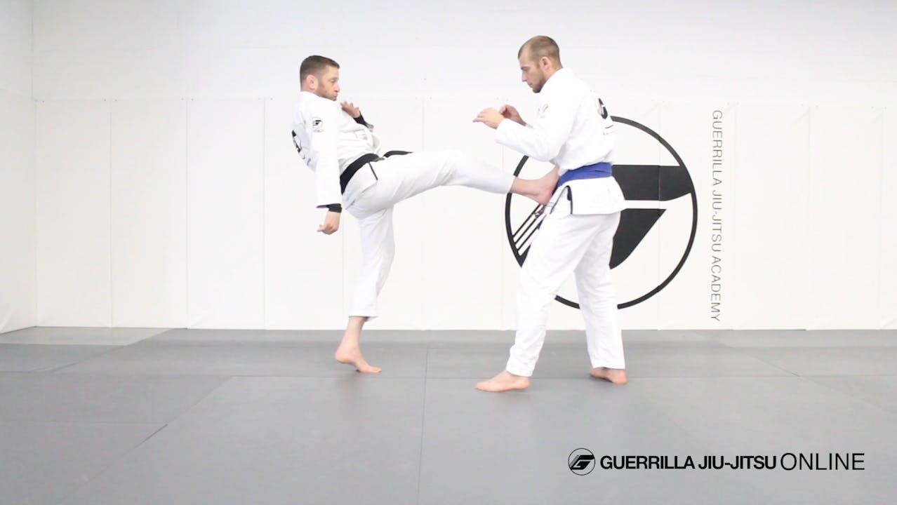 Keep Distance Simple Leg Kicks and Push Kicks Guerrilla JiuJitsu Online