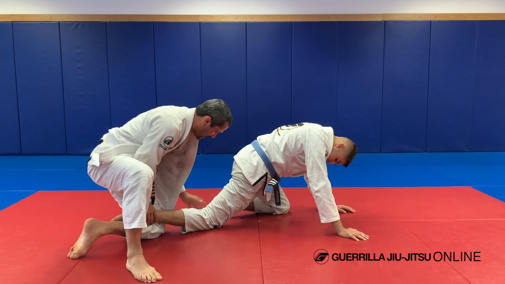 Deep Half Guard - Lesson 3