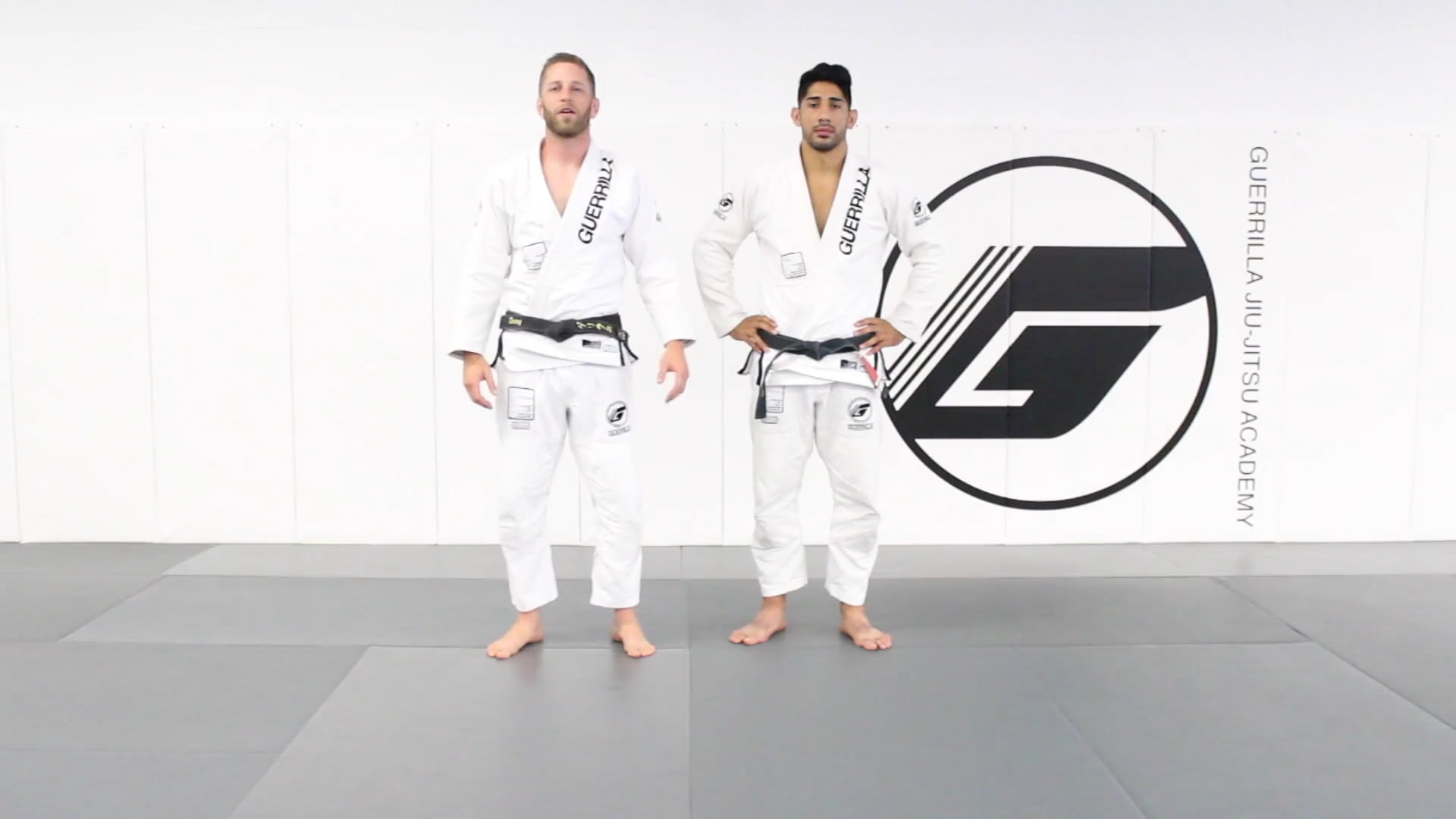 20 Class Online Beginner's Program - Class 2